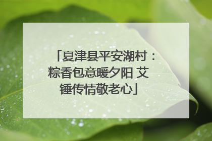 夏津县平安湖村：粽香包意暖夕阳 艾锤传情敬老心