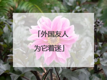 外国友人为它着迷