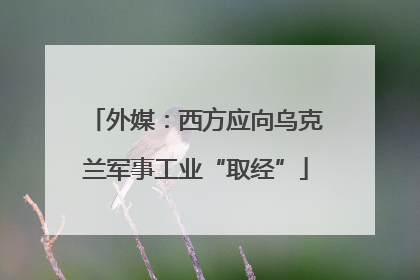 外媒：西方应向乌克兰军事工业“取经”