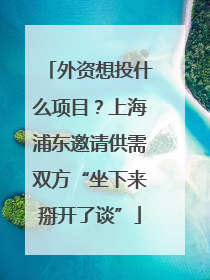 外资想投什么项目？上海浦东邀请供需双方“坐下来掰开了谈”