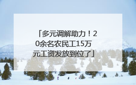 多元调解助力！20余名农民工15万元工资发放到位了