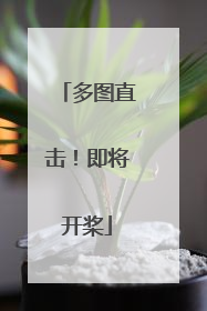 多图直击！即将开桨