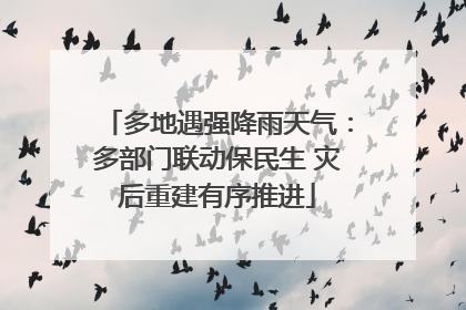 多地遇强降雨天气：多部门联动保民生 灾后重建有序推进
