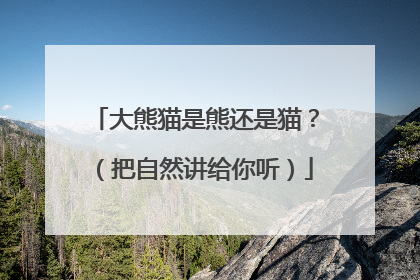 大熊猫是熊还是猫？（把自然讲给你听）