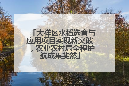 大祥区水稻选育与应用项目实现新突破，农业农村局全程护航成果斐然