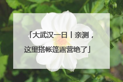 大武汉一日丨亲测，这里搭帐篷露营绝了