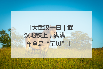大武汉一日｜武汉地铁上，满满一车全是“宝贝”