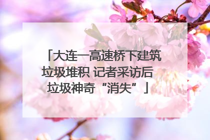 大连一高速桥下建筑垃圾堆积 记者采访后垃圾神奇“消失”