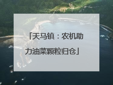 天马镇：农机助力油菜颗粒归仓