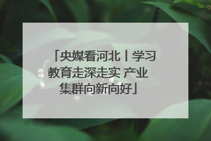 央媒看河北丨学习教育走深走实 产业集群向新向好