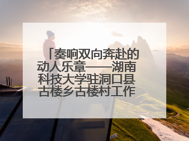 奏响双向奔赴的动人乐章——湖南科技大学驻洞口县古楼乡古楼村工作队工作侧记