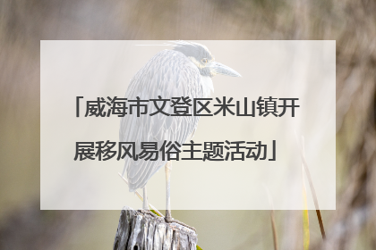 威海市文登区米山镇开展移风易俗主题活动