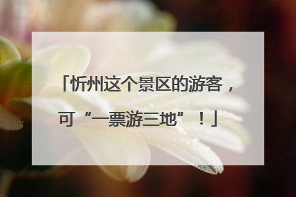 忻州这个景区的游客，可“一票游三地”！