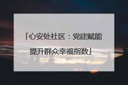心安处社区：党建赋能 提升群众幸福指数