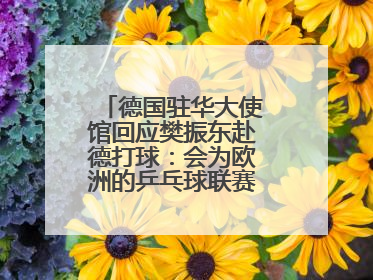 德国驻华大使馆回应樊振东赴德打球：会为欧洲的乒乓球联赛带来新的光彩