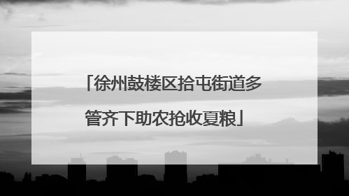 徐州鼓楼区拾屯街道多管齐下助农抢收夏粮