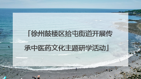 徐州鼓楼区拾屯街道开展传承中医药文化主题研学活动