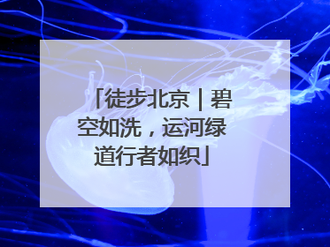 徒步北京｜碧空如洗，运河绿道行者如织