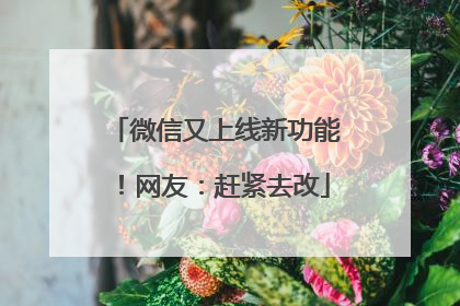 微信又上线新功能！网友：赶紧去改