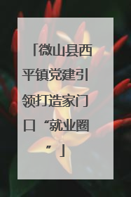 微山县西平镇党建引领打造家门口“就业圈”