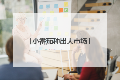 小番茄种出大市场