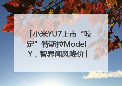 小米YU7上市“咬定”特斯拉Model Y，智界闻风降价