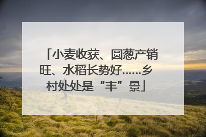 小麦收获、圆葱产销旺、水稻长势好……乡村处处是“丰”景