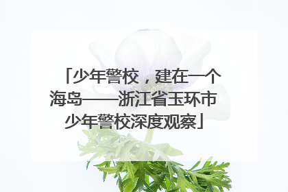 少年警校，建在一个海岛——浙江省玉环市少年警校深度观察