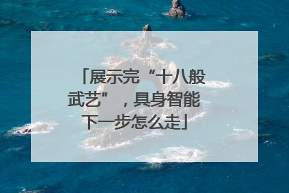 展示完“十八般武艺”，具身智能下一步怎么走