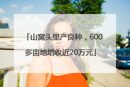 山窝头里产良种，600多亩地增收近20万元