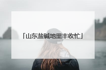 山东盐碱地里丰收忙