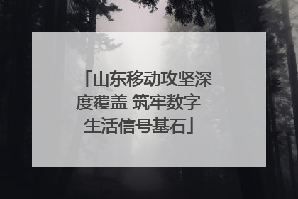 山东移动攻坚深度覆盖 筑牢数字生活信号基石