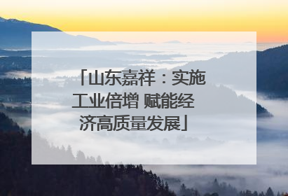 山东嘉祥：实施工业倍增 赋能经济高质量发展