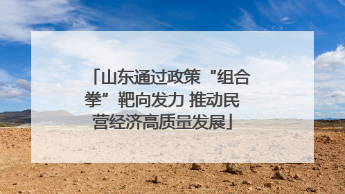 山东通过政策“组合拳”靶向发力 推动民营经济高质量发展