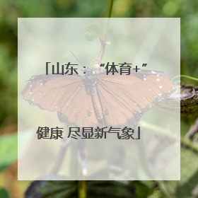 山东：“体育+”健康 尽显新气象