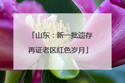 山东：新一批遗存再证老区红色岁月