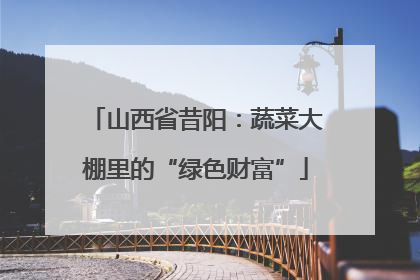 山西省昔阳：蔬菜大棚里的“绿色财富”
