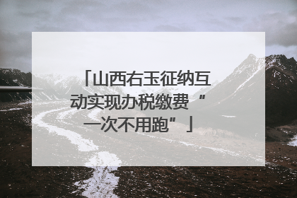 山西右玉征纳互动实现办税缴费“一次不用跑”