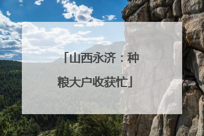 山西永济：种粮大户收获忙