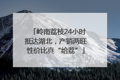 岭南荔枝24小时抵达湖北，产销两旺性价比真“给荔”
