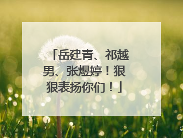 岳建青、祁越男、张煜婷！狠狠表扬你们！
