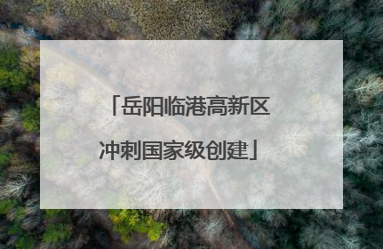 岳阳临港高新区冲刺国家级创建
