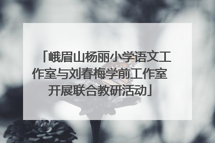 峨眉山杨丽小学语文工作室与刘春梅学前工作室开展联合教研活动