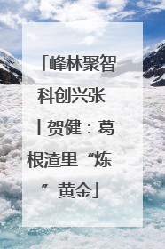 峰林聚智 科创兴张丨贺健：葛根渣里“炼”黄金