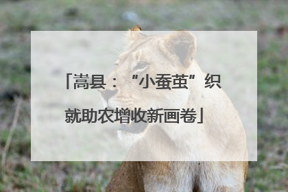 嵩县：“小蚕茧”织就助农增收新画卷