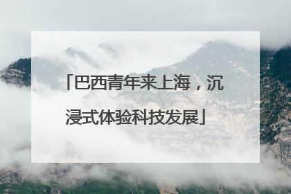 巴西青年来上海，沉浸式体验科技发展