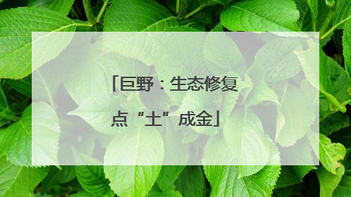 巨野：生态修复点“土”成金