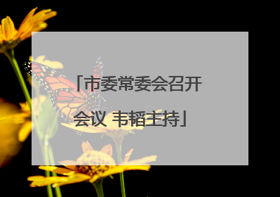市委常委会召开会议 韦韬主持