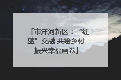 市洋河新区：“红蓝”交融 共绘乡村振兴幸福画卷