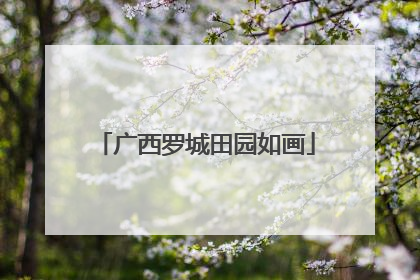 广西罗城田园如画